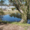 Retaining Ponds